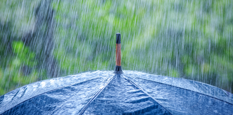 A black umbrella in the rain. A black umbrella in the rain.