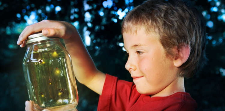 Boy holding jar of fireflies. Boy holding jar of fireflies.