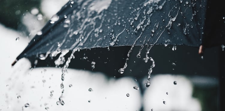 A black umbrella provides coverage in the rain. A black umbrella provides coverage in the rain.
