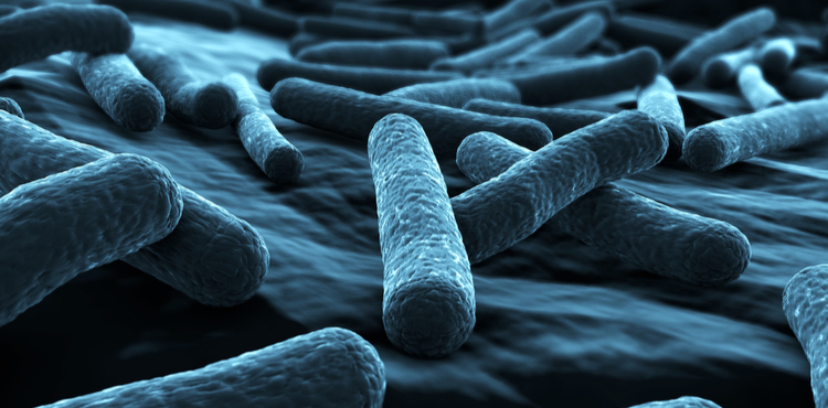 Microscopic e coli bacteria. Microscopic e coli bacteria.