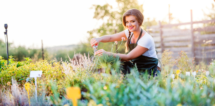 Woman in a garden. Woman in a garden.