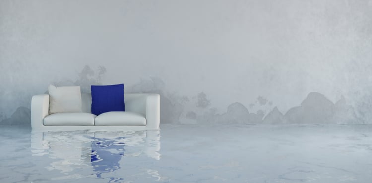 A couch in a room submerged in water. A couch in a room submerged in water.