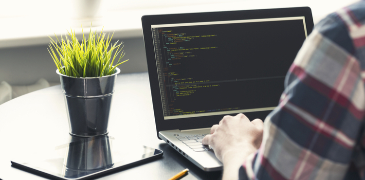 A programmer working on a laptop next to a plant. A programmer working on a laptop next to a plant.