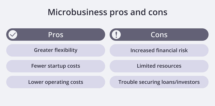 Microbusiness pros and cons.