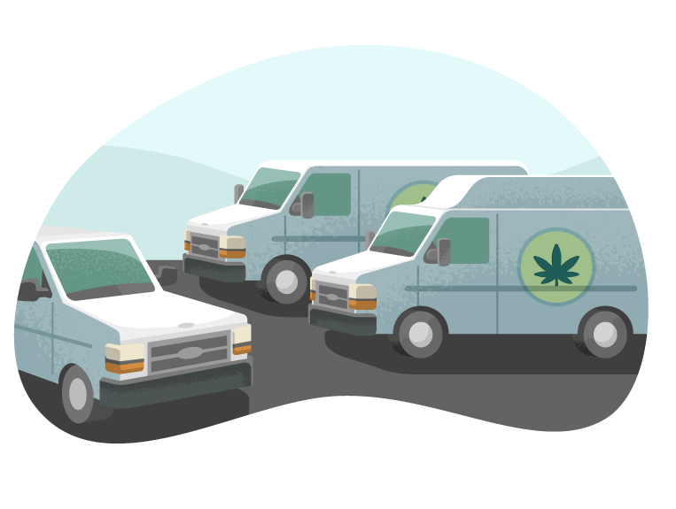 A fleet of vans used to transport cannabis products.