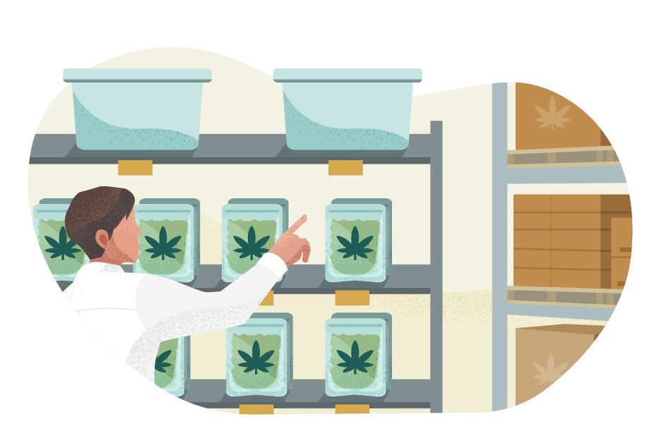 Wholesaler pointing at cannabis products on a shelf.