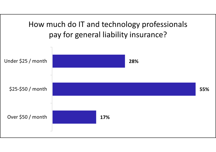 Cost of general liability insurance for IT businesses.