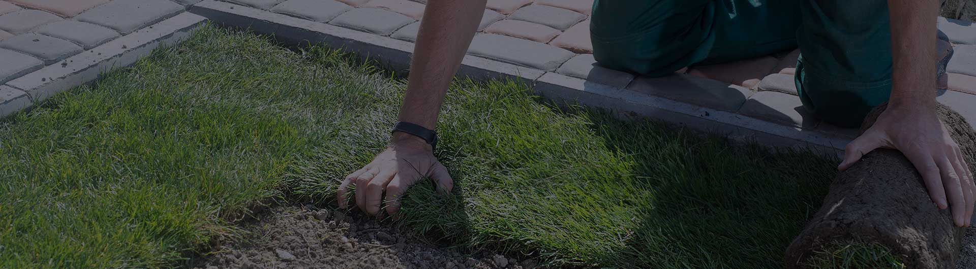 Landscaper installing turf into a yard.