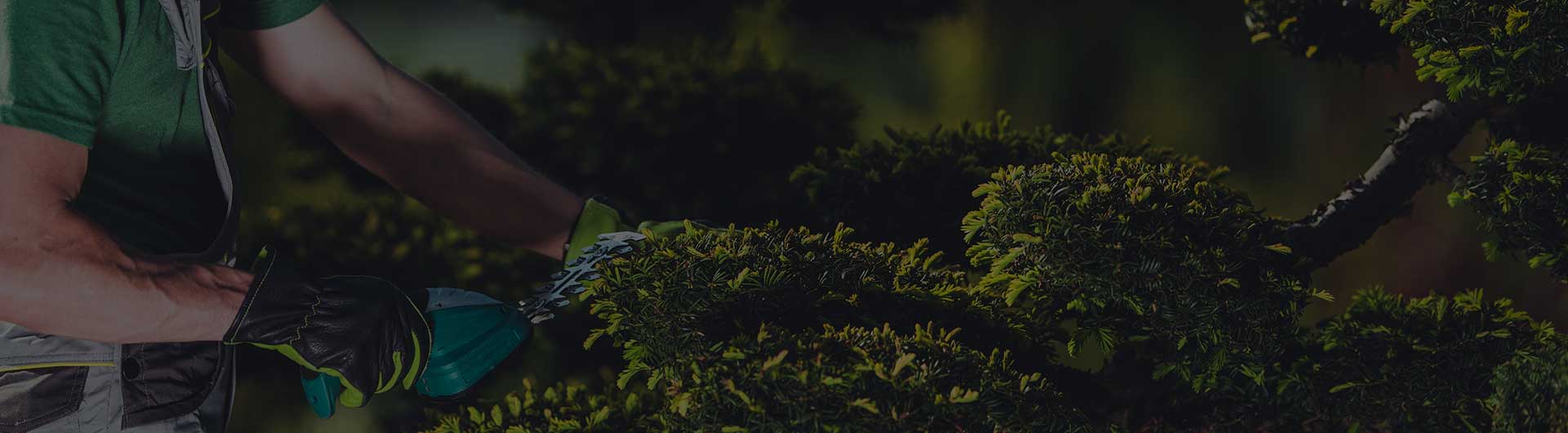 Tree Service and Removal Insurance, Arborist Insurance | Insureon