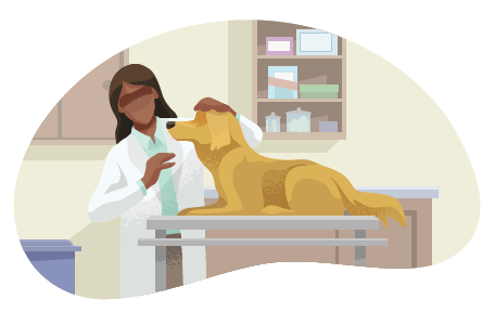 Veterinarian examining a large dog in an exam room.