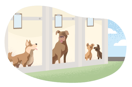 Four dogs boarding at a dog hotel. Four dogs boarding at a dog hotel.