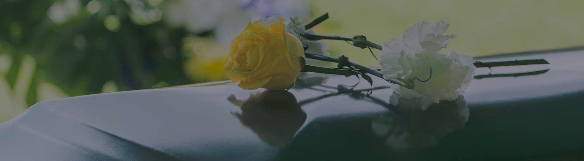 Flowers laid on a casket.