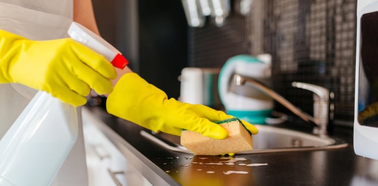 Cleaning service in house. Cleaning service in house.