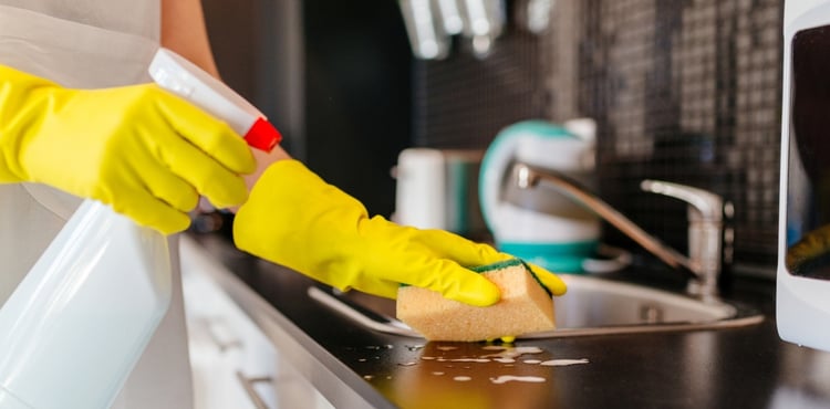 cleaning services in belleville il