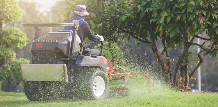 lawn care person