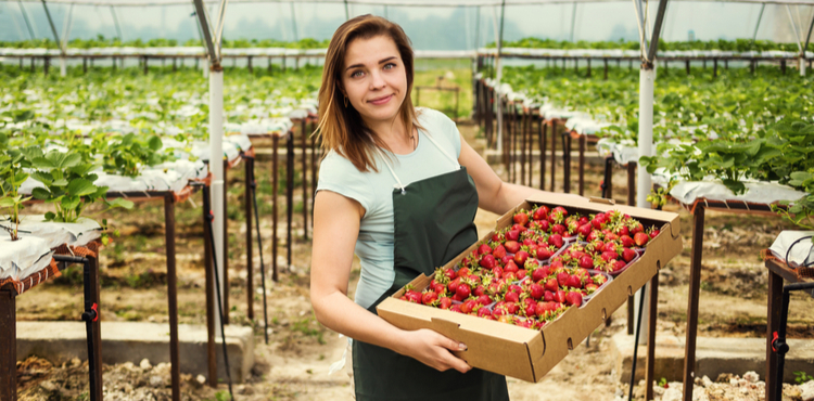 A woman holds a box of strawberries.