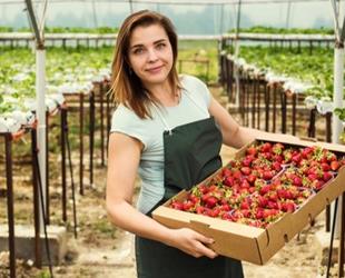 A woman holds a box of strawberries.