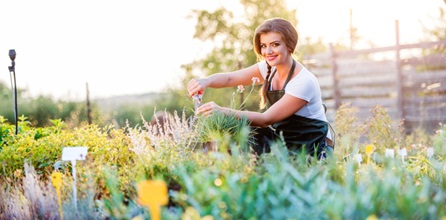 How to start a successful landscaping business from the ground up