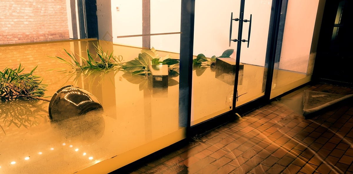 Plants floating in a flooded small business office entryway. Plants floating in a flooded small business office entryway.