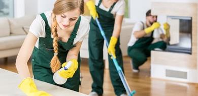 Professional house cleaners at work
