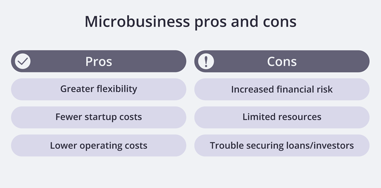 Microbusiness pros and cons. Microbusiness pros and cons.