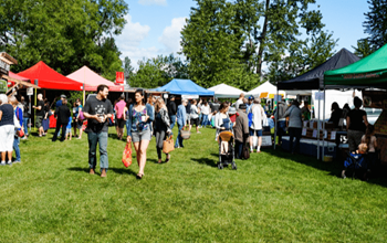 People visiting vendor booths at an outdoor festival.