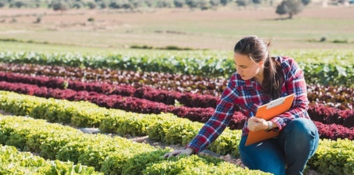 Person examining crops in a field with a clipboard.