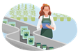 An employee checks a manufacturer's cannabis products on a conveyor belt.