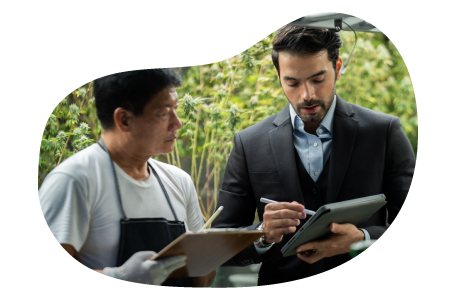 Cannabis dispensary property owner going through sales figures with employee.