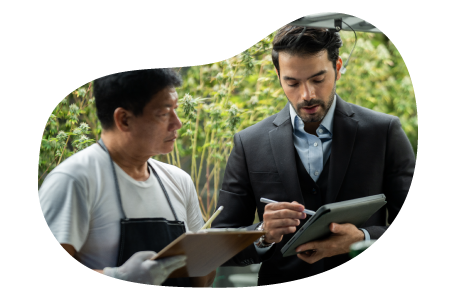 Cannabis dispensary property owner going through sales figures with employee. Cannabis dispensary property owner going through sales figures with employee.