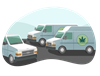 A fleet of vans used to transport cannabis products.