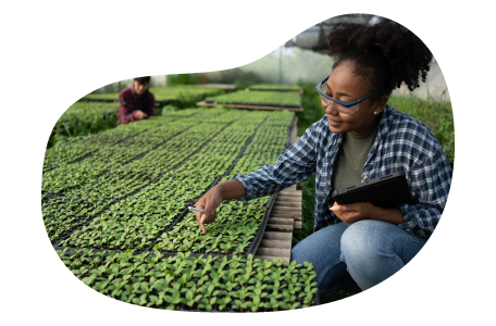 Agricultural consultant providing advice about client's crops.