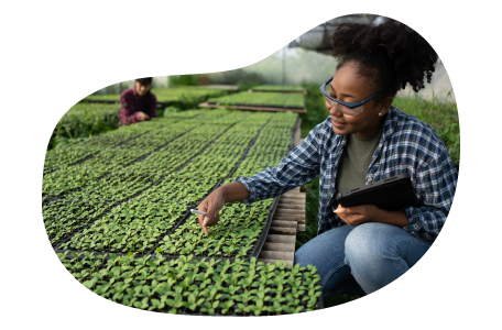 Agricultural consultant providing advice about client's crops. Agricultural consultant providing advice about client's crops.
