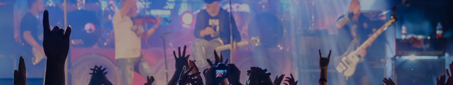 A crowd before the stage at a rock concert.