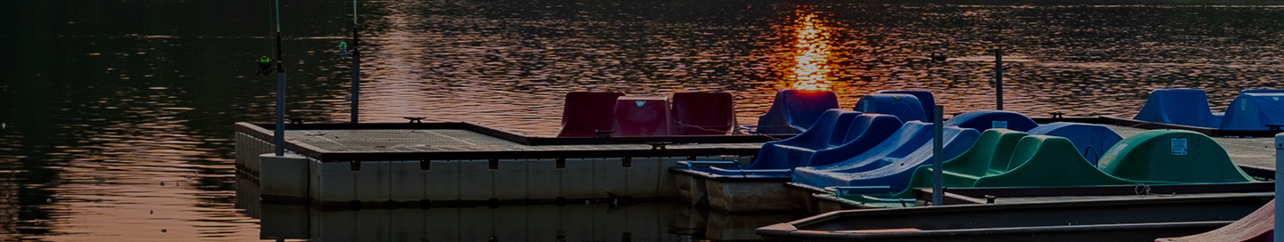 Paddle boats docked at a marina.