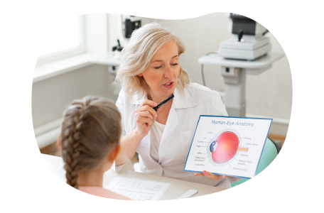 Ophthalmologist displaying a diagram to a patient.