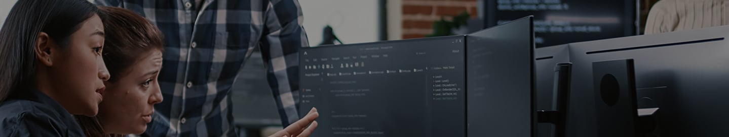 Programmers reviewing educational technology software. Programmers reviewing educational technology software.