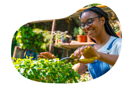 A gardener trims a plant.