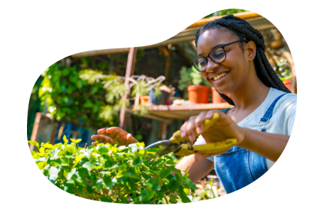 A gardener trims a plant. A gardener trims a plant.
