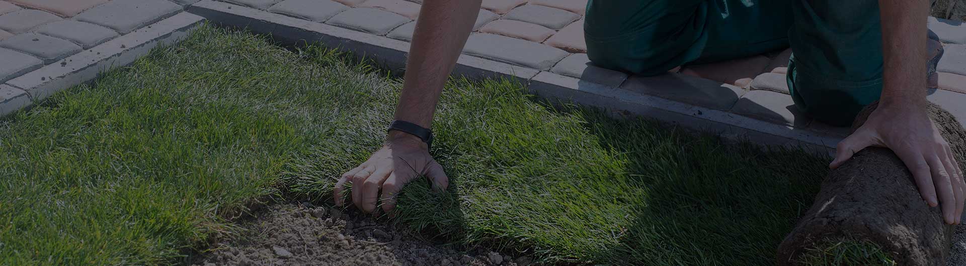Landscaper installing turf into a yard. Landscaper installing turf into a yard.