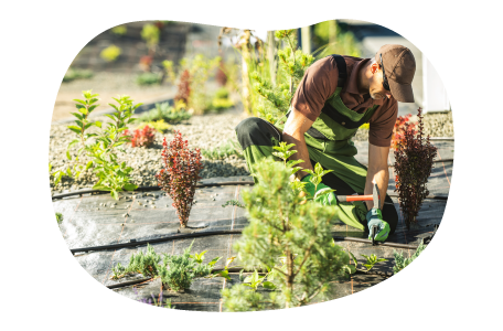 Irrigation specialist treating crops. Irrigation specialist treating crops.