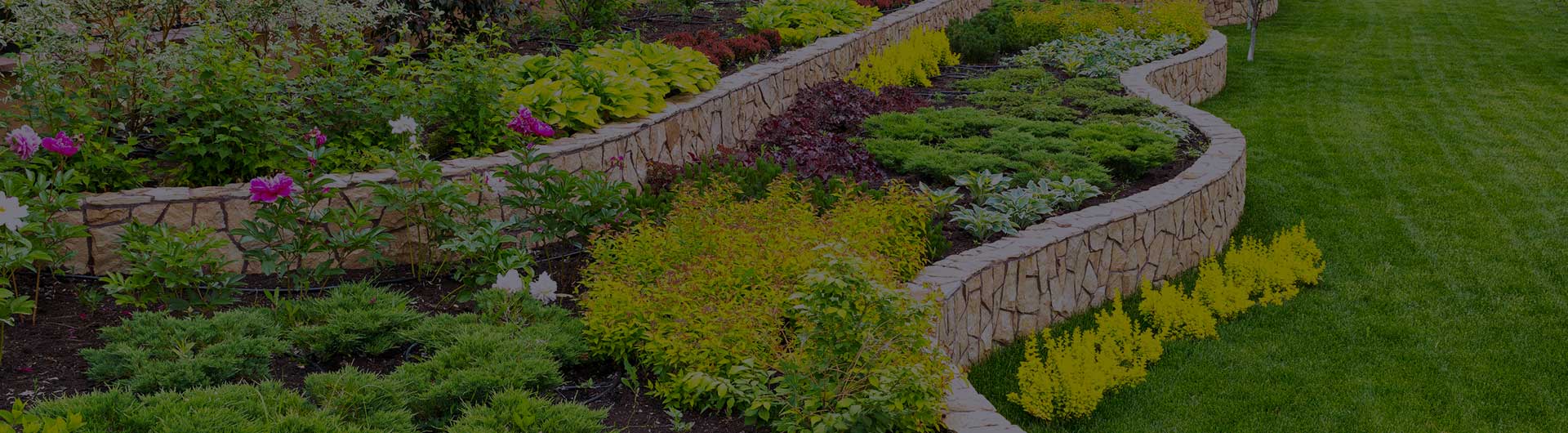 Beautiful view of landscaped garden in backyard. Beautiful view of landscaped garden in backyard.