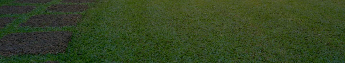 Large residential lawn with steps.