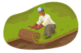 Worker rolling out new turf.