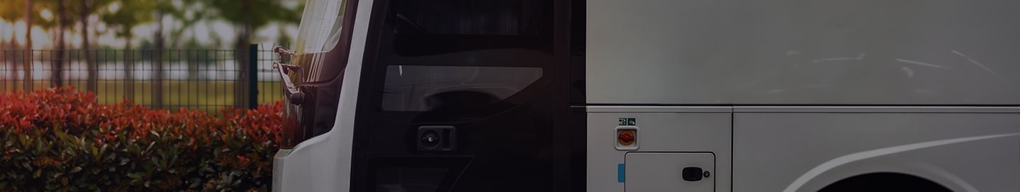 A coach bus stopped at a park.