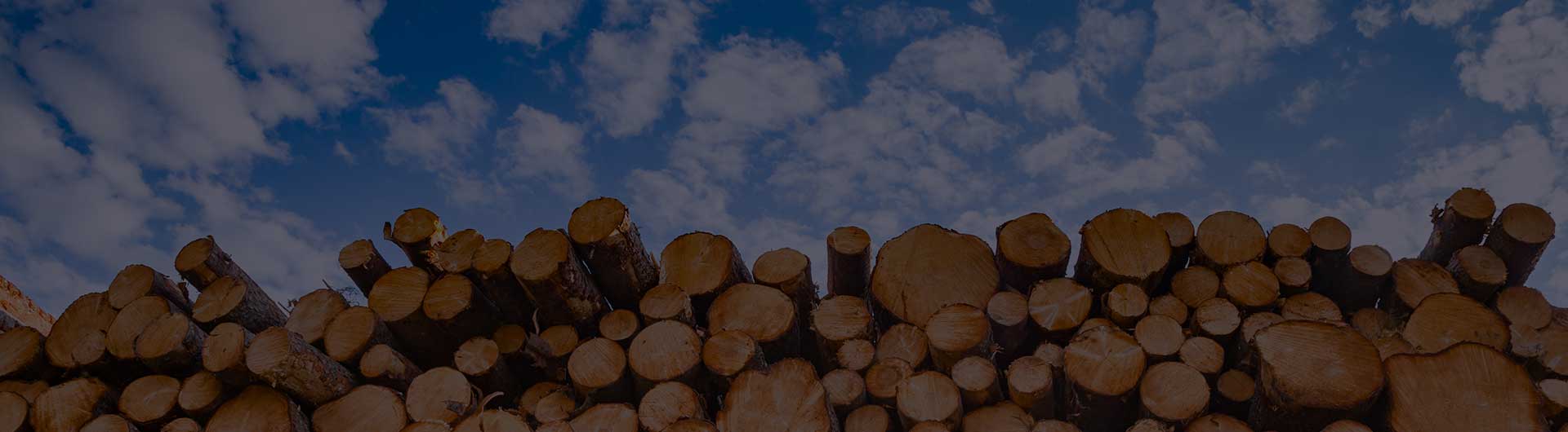 Stacked wood logs against blue sky. Stacked wood logs against blue sky.
