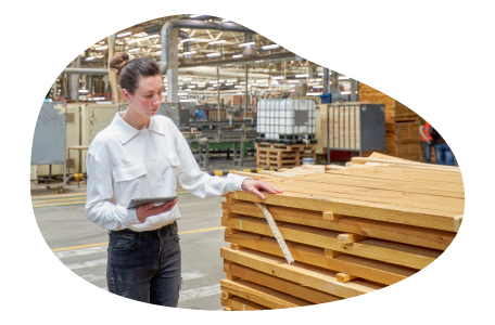 Wood manufacturer taking stock of wood supply. Wood manufacturer taking stock of wood supply.