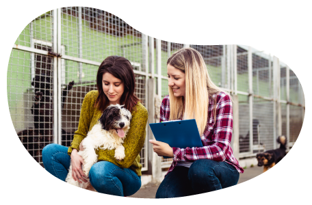 Animal shelter employees caring for a dog.
