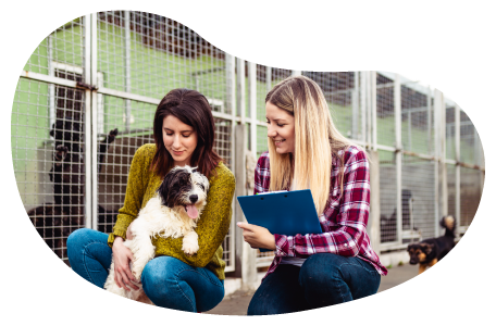 Animal shelter employees caring for a dog. Animal shelter employees caring for a dog.