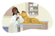 Veterinarian examining a large dog in an exam room.